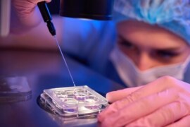 Blastosist Nedir?