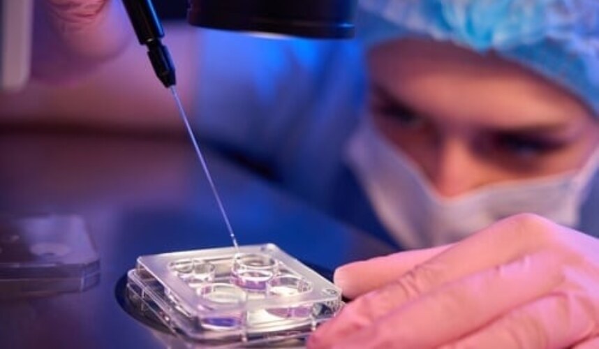 Blastosist Nedir?