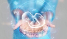 Fertilite Tedavisinde Kullanılan Yeni Teknolojiler ve Başarı Oranları