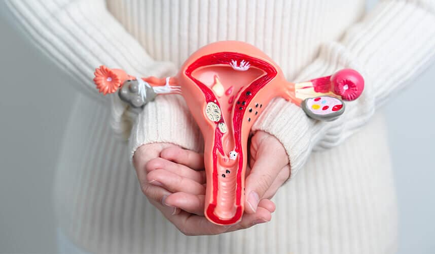 Rahim İçi Polipler ve Miyomlar Doğurganlığı Nasıl Etkiler?