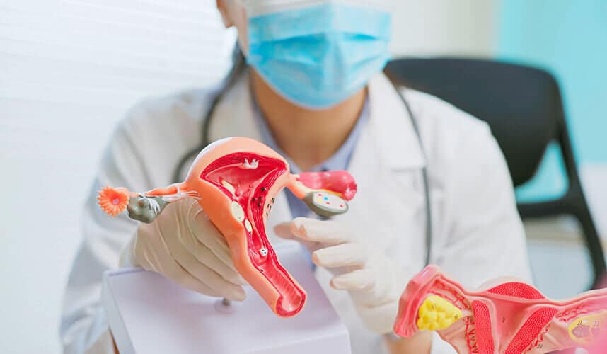 AMH, FSH ve Antral Folikül Sayısı Nedir? Yumurtalık Rezervi Nasıl Ölçülür?